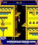 Prince Of Persia: Harem Adventures / Принц Персии: Приключения в гареме