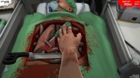 Surgeon Simulator 2013: Anniversary Edition + Inside Donald Trump / +OST / +GOG