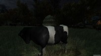 The Cows Are Watching v1.2 Hotfix