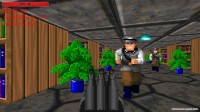 Wolfenstein 3D - The Final Solution