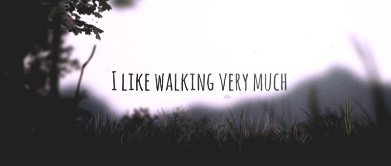 I Like Walking Very Much