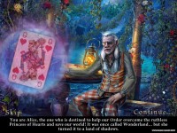 Мост в другой мир 3: Алиса в Царстве Теней. Коллекционное издание / Bridge to Another World 3: Alice in Shadowland. Collector's Edition