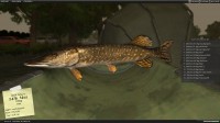 Carp Fishing Simulator [Build 21]