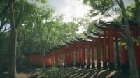 Explore Fushimi Inari v16.01.2021