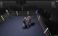 Proto Boxing v0.1.4
