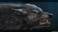 Призрачная тень волка 6: Проклятие Вулфхилла. Коллекционное издание / Shadow Wolf Mysteries 6: Curse of Wolfhill. Collector's Edition
