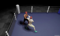 Proto Boxing v0.1.3.2