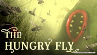 The Hungry Fly v1.0.1a